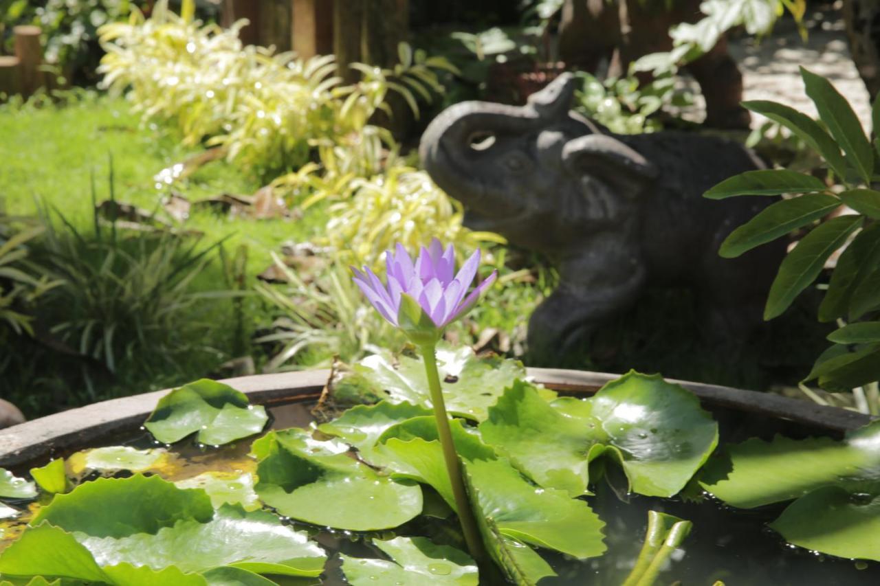 Vela Phu Quoc Resort Eksteriør billede